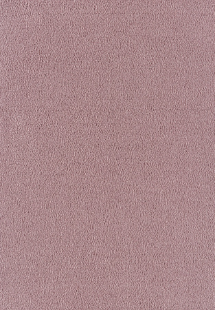 SmartStrand Sofia SOK carpeting.0130