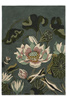 Wedgwood Waterlily Midnight Pond rug 038608