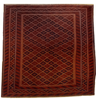 Afghan Wool Rug Unique Mushwani 124048 205 x 280