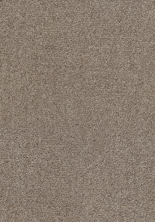 SmartStrand Lounge Carpet ZEO434