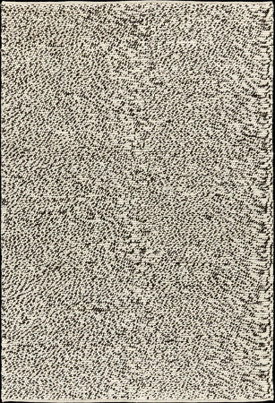Toulemonde Bochart Serac Noir Blanc carpet