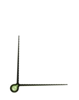 Zielony