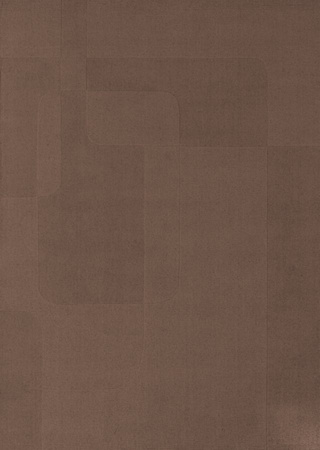 Carpet Decor Evora Brown carpet