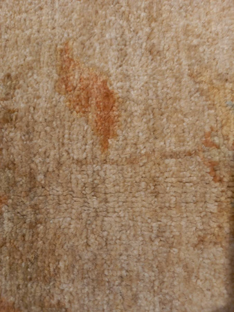 Kaizar Wool Carpet 126197 202 x 300