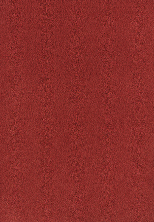SmartStrand Sofia SOK carpeting.0120