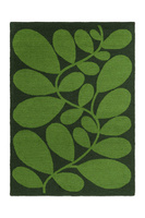 Dywan Orla Kiely Sycamore Dill 464207