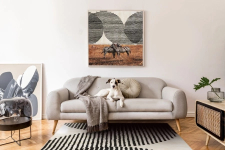 Dywan Carpet Decor Eclipse Ivory