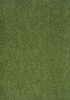 SmartStrand Dream UIO carpet.0591