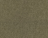 SmartStrand Lounge Carpet ZEO484