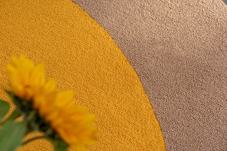 Dywan Brink&Campman Festival Round Yellow 496306