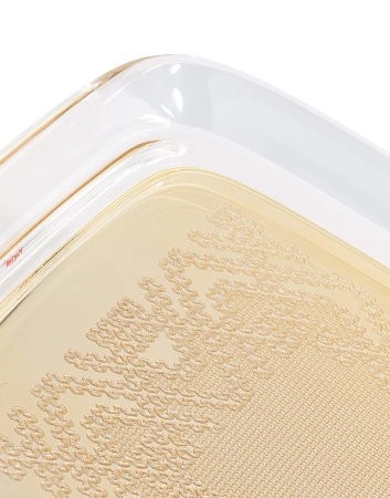 Teatime Tray Gold