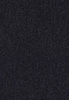 SmartStrand Lounge Carpet ZEO793 
