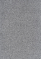 SmartStrand Sofia SOK carpeting.0860