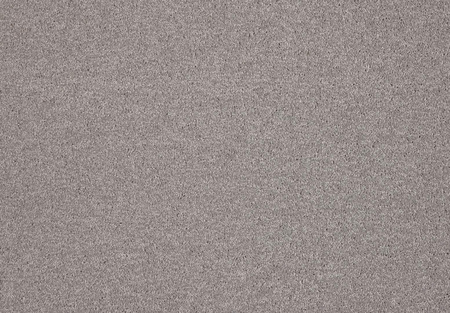 SmartStrand Lounge Carpet ZEO880