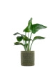 Kleo Cachepot Pot Cover Green 30 cm