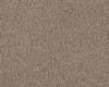 SmartStrand Boheme UYO carpeting.0260