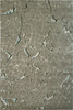 Serge Lesage Kintsugi Putty Grey Carpet