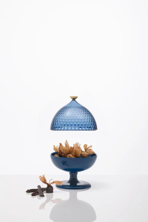 Pumo Container Blue