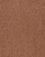 SmartStrand Lounge Carpet ZEO332