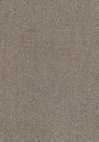 SmartStrand Lounge Carpet ZEO434