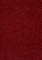 Wykładzina SmartStrand Lounge ZEO120