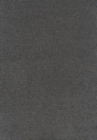 SmartStrand Sofia SOK carpeting.0820
