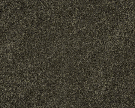 SmartStrand Lounge Carpet ZEO493