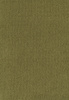 SmartStrand Sofia SOK carpeting.0500