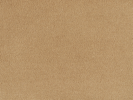 SmartStrand Sofia SOK carpeting.0370
