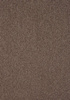 SmartStrand Lounge Carpet ZEO190