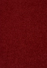 SmartStrand Lounge Carpet ZEO120