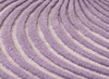 Gan Giro Lilac rug 264 x 363