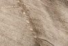 Landscape Fields Beige Carpet
