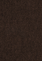 SmartStrand Lounge Carpet ZEO283