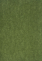SmartStrand Dream UIO carpet.0591