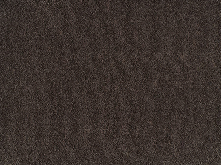SmartStrand Sofia SOK carpeting.0290