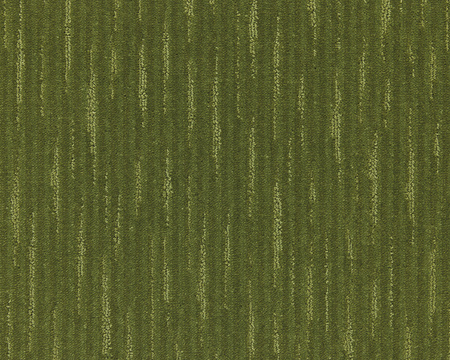 SmartStrand Lagoon LAG carpeting.0540