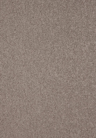 SmartStrand Lounge Carpet ZEO460