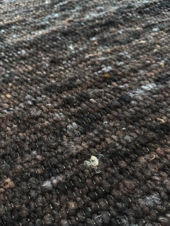 Dywan Carpet Decor Mellow Brown