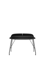 Earl Of Wood 119x65 cm Ash Black Desk