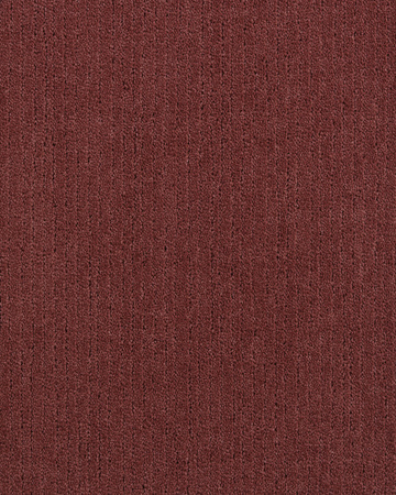 SmartStrand Loft Life Pure UU carpeting1.0121