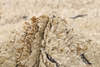Dywan Landscape Straw Camel