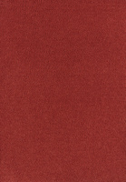 SmartStrand Sofia SOK carpeting.0120
