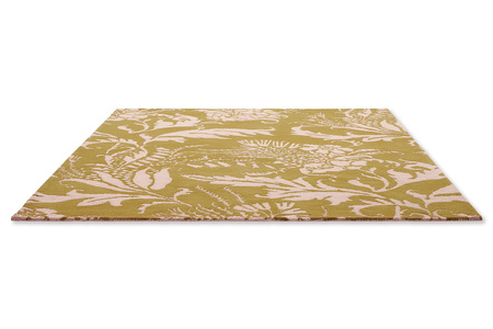 Dywan Ted Baker Baroque Yellow 162906