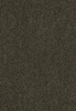 SmartStrand Lounge Carpet ZEO493