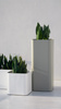 Gandiablasco Sonora 1 flowerpot