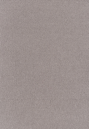 SmartStrand Sofia SOK carpeting.0430