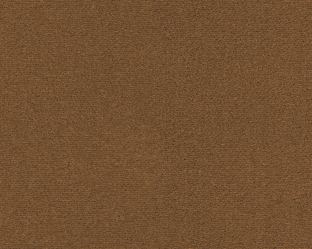 SmartStrand Lior USO carpeting.0391