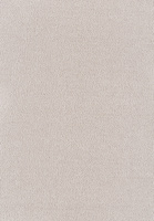 SmartStrand Sofia SOK carpeting.0240