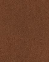 SmartStrand Lior USO carpeting.0311